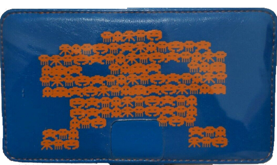 Flip & Play Case DSI