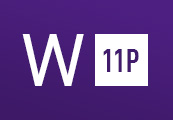 Windows 11 Professional OEM Key - API