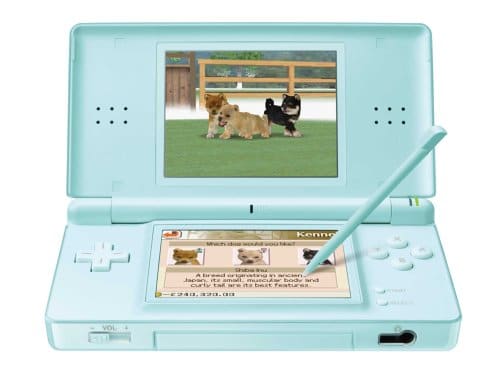 Nintendo DS Lite Turkos