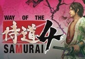 Way of the Samurai 4 Steam CD Key