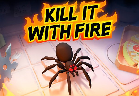 Kill It With Fire AR XBOX One / Xbox Series X|S CD Key
