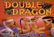 Double Dragon AR XBOX One / Xbox Series X|S CD Key