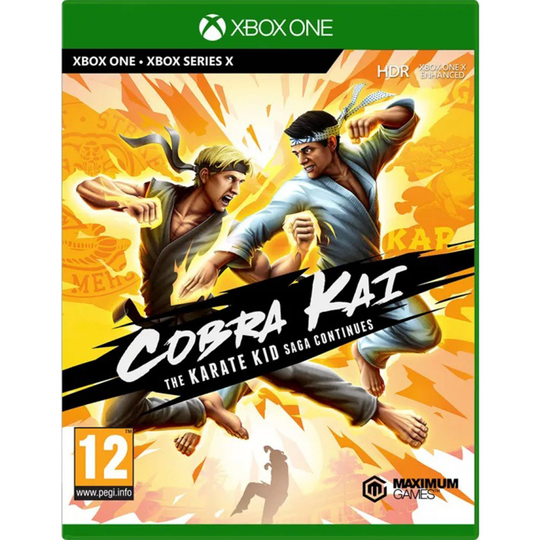 Cobra Kai The Karate Kid Saga Continues