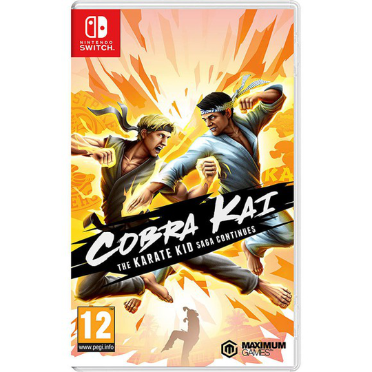 Cobra Kai The Karate Kid Saga Continues