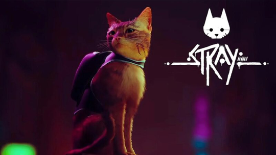 Stray (PS5)
