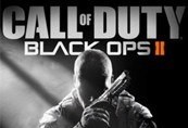 Call of Duty: Black Ops II EU Steam Altergift