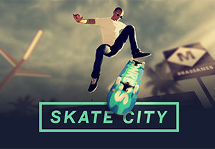Skate City Steam CD Key